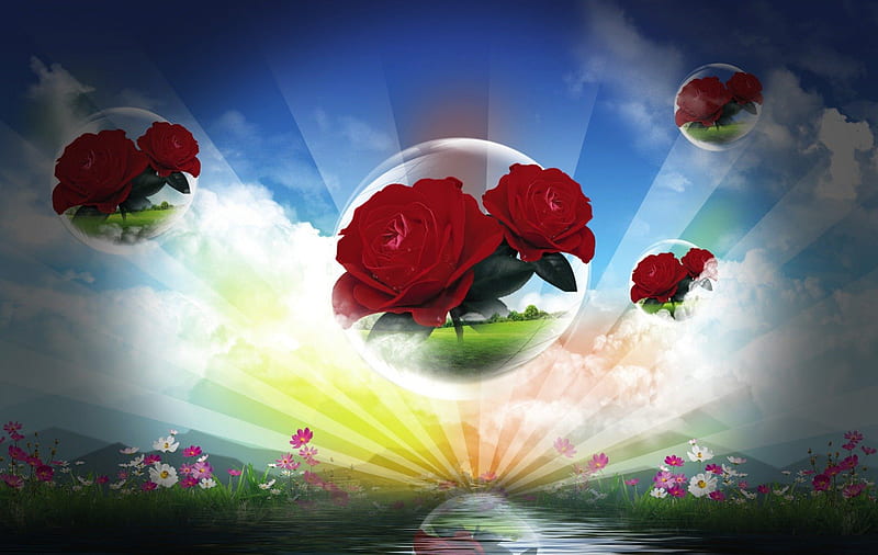 Roses, water, rays, flowers, globes, clouds, HD wallpaper