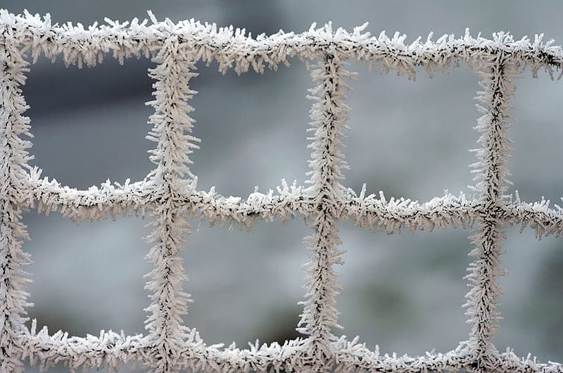 Icy see through, fence, frosted abstract, winter, cold, frosty, graphy, snow macro, ice, frozen, frost, HD wallpaper