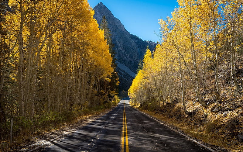 mountain road, autumn, yellow leaves, asphalt road, forest, mountain landscape, HD wallpaper