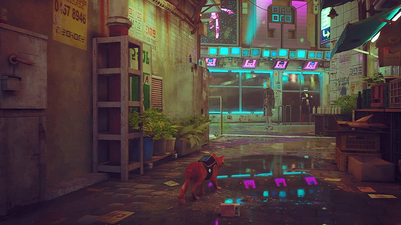 Stray in review: the most wanted Steam game is a true cyberpunk feast - Global Esport News, HD wallpaper