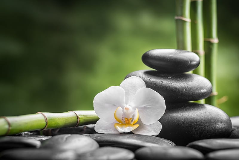 Relaxing Spa, Water, Bamboo, Orchid, Massage, Stones, HD wallpaper