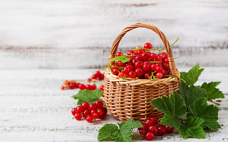 Currants, basket, red berry, fruit, currant, berry, green, leaf, HD wallpaper