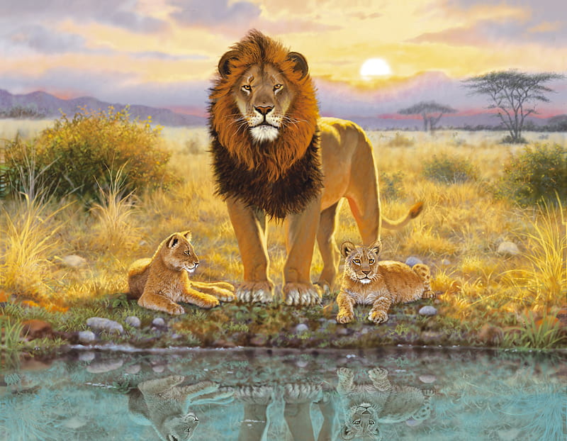 The King and His Cubs, rocks, plains, sunset, trees, bushes, lion, africa, water, prairie, cubs, grassland, HD wallpaper