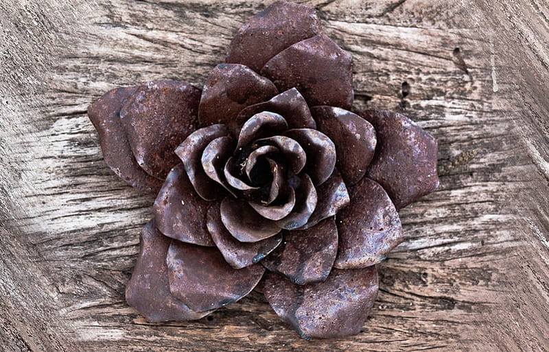Metallic Rose, flower, metallic, flowers, rose, HD wallpaper