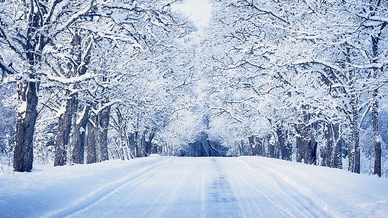 Winter Road 3, Firefox theme, snow, woods, lane, road, winter, cold, street, HD wallpaper