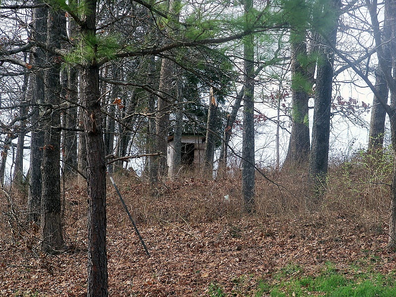 Outhouse In The Woods, building, nature, outhouse, woods, HD wallpaper