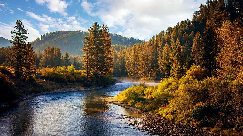 South fork of the Payette River, Idaho, fall, clouds, trees, colors, sky, landscpa, forest, mountain, usa, HD wallpaper