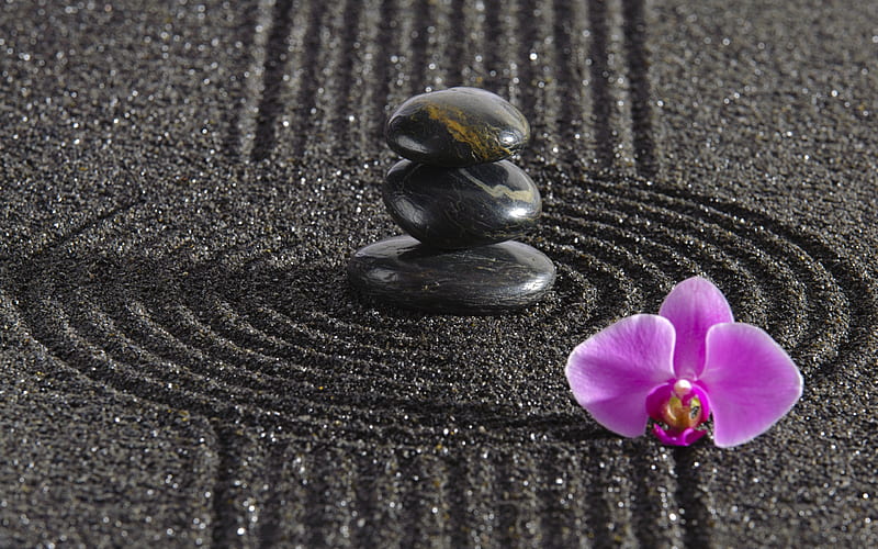 zen, stones, sand, philosophy, orchid, black, flowers, HD wallpaper