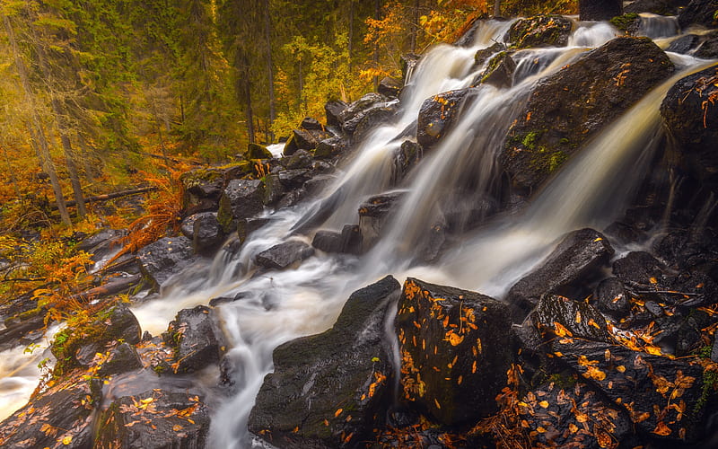 autumn, mountain river, waterfall, forest, autumn landscape, USA, HD wallpaper