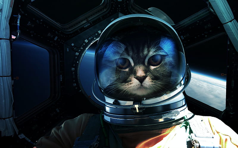 :), cat, cosmonaut, vadim sadowski, astronaut, pisici, fantasy, HD wallpaper