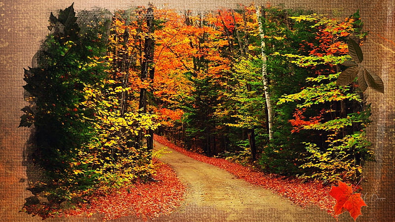 Fall Collage #14, change, fall, autumn, collage, trees, leaves, October,  texture, HD wallpaper | Peakpx