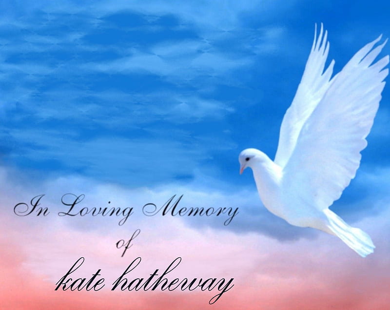 Memorial To Kate Hatheway death friend member memorial loss HD  wallpaper  Peakpx
