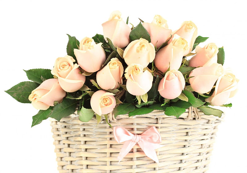With Love, bouquet, rose, basket, flowers, nature, roses, for you, HD ...