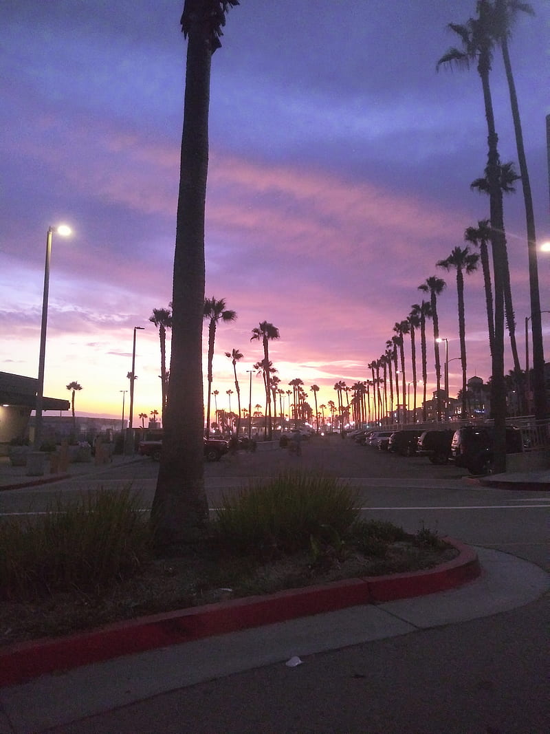 California, cali, chill, palm, palms, sunset, HD phone wallpaper