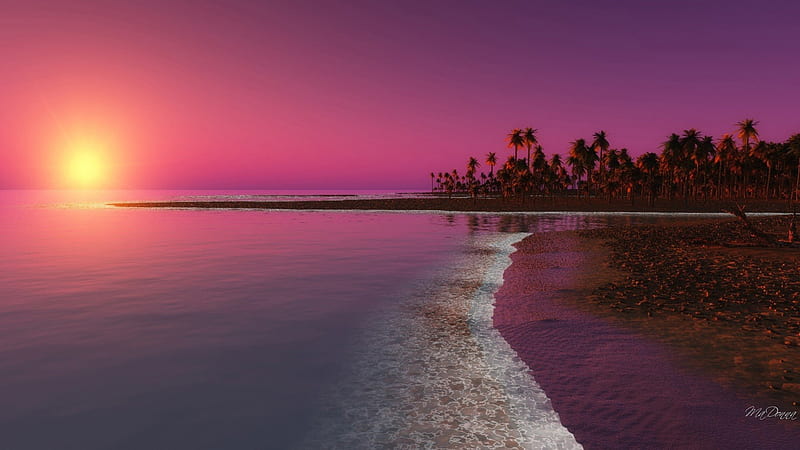 Tropical Sunset, sunset, trees, sky, palm trees, sea, beach, tide ...