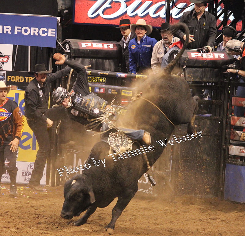 How to Watch Professional Bull Riding PBR Rodeo on Paramount Plus in India