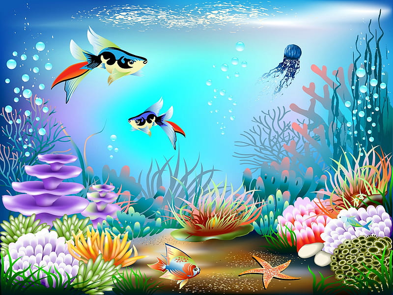 Underwater World, water, fish, plants, ocean, bubbles, coral, starfish, sea, HD wallpaper
