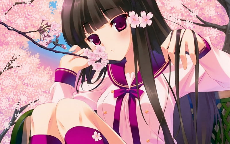 Sakura, school, girl, flowers, orginal, long hair, pink, cherry blossom ...