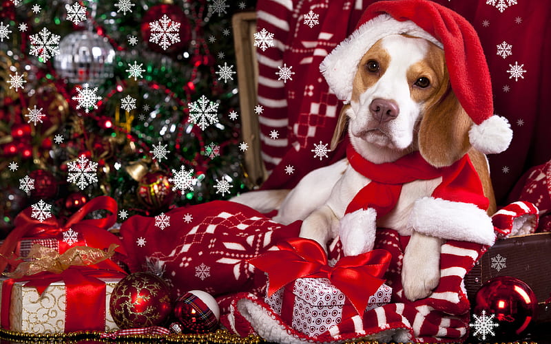 Happy New Year 2018, beagle, year of dog, Christmas 2018, creative, New Year 2018, xmas, Christmas decoration, HD wallpaper