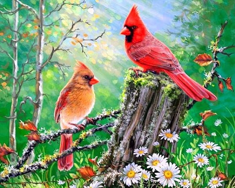 Summer Lovers, colors, love four seasons, birds, cardinals, lovers, paintings, summer, flowers, nature, couple, animals, HD wallpaper