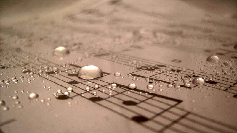 The sound of music graph, pic sound, music, notes, stave, dew, drops, wall graphy paper, HD wallpaper