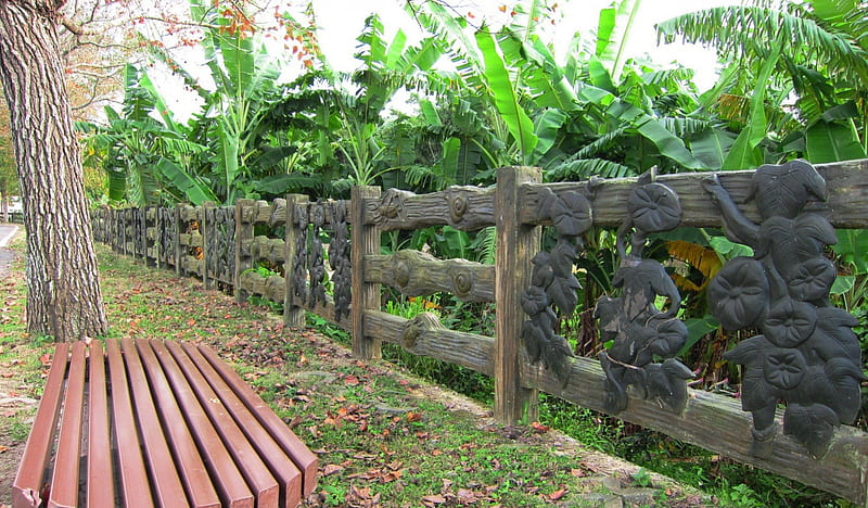 roadside, Wooden Railing, fallen leaves, wooden chair, banana plantations, HD wallpaper