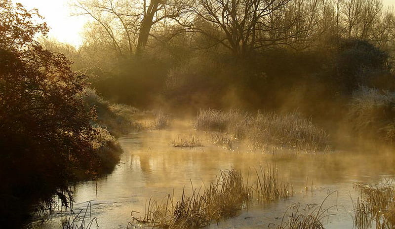 Fog on the river, nature, forests, rivers, fog, HD wallpaper | Peakpx