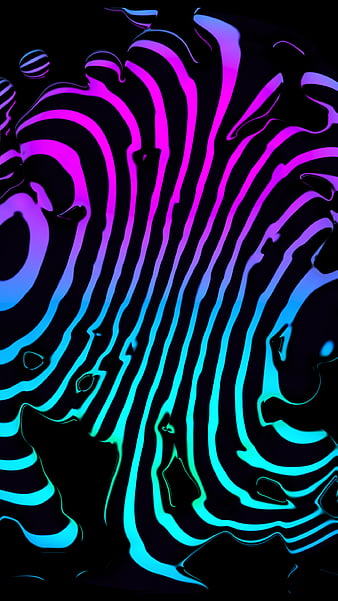 zebra neon colors wallpaper