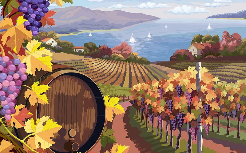 Vineyard and grapes branches, Vector, Grapes, Landscape, Rural, Barrel, HD wallpaper