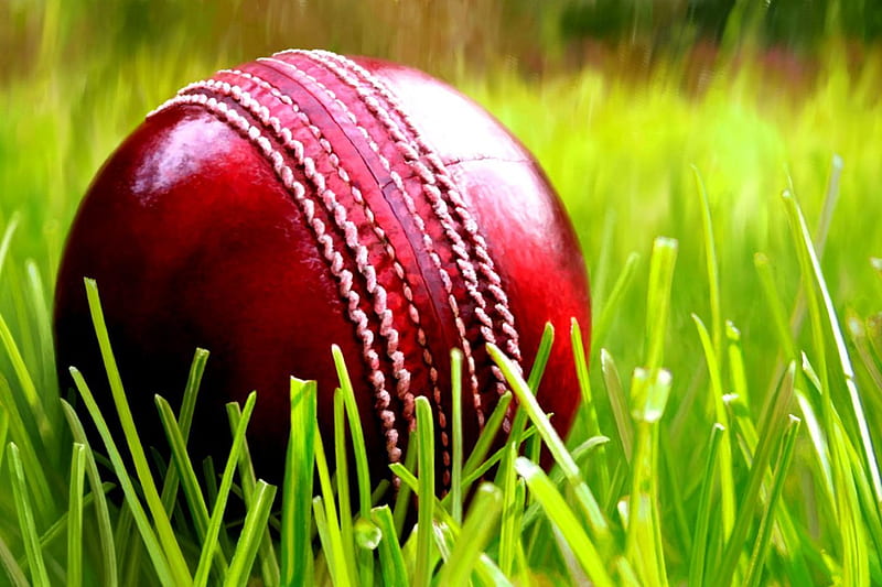 Cricket Sports, HD wallpaper