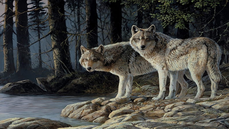 Forest Dwellers, forest, water, trees, wolves, HD wallpaper