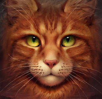 Great Warrior Cats Wallpaper Free Wallpaper For Desktop And Mobile In All  Resolutions Free Download Beautiful Sofas Wallpapers For Phones  फट शयर