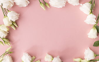 Pastel Roses, flower, rose, blue, pink, white, HD phone wallpaper