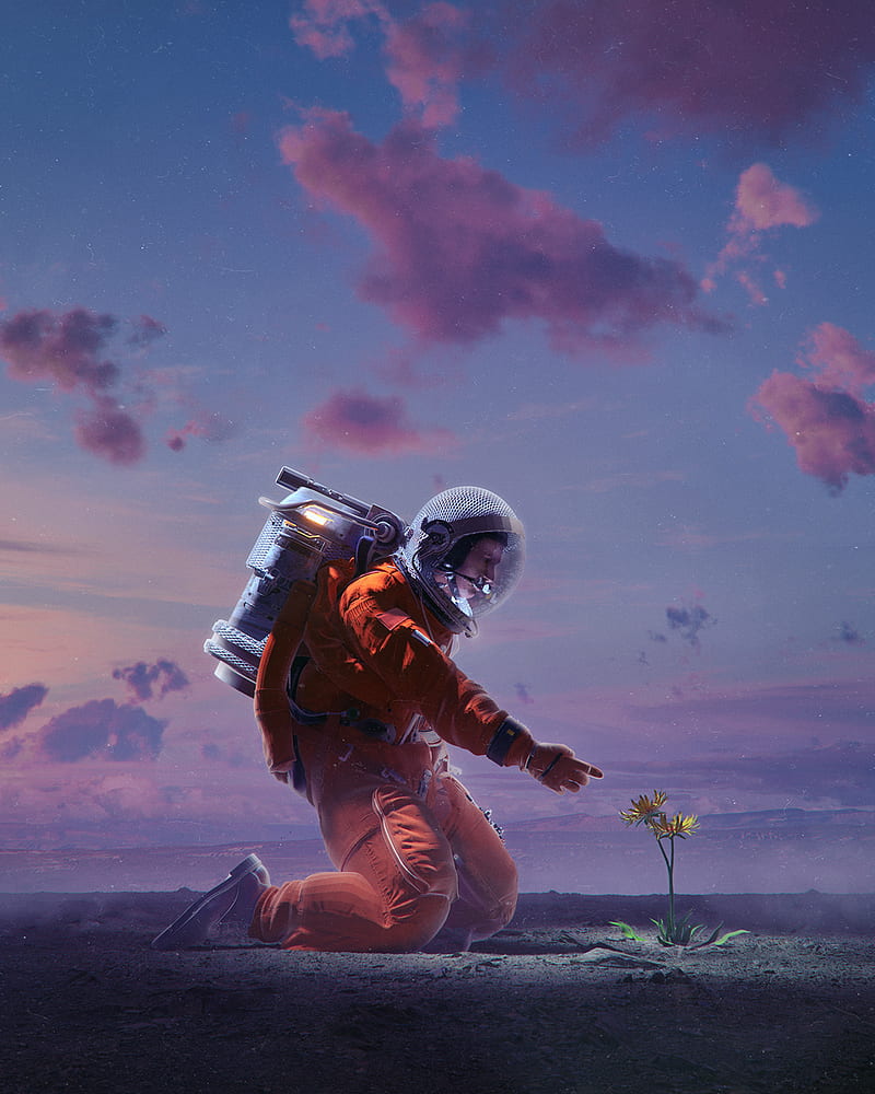 astronaut, artwork, sky, science fiction, plants, kneeling, HD phone wallpaper