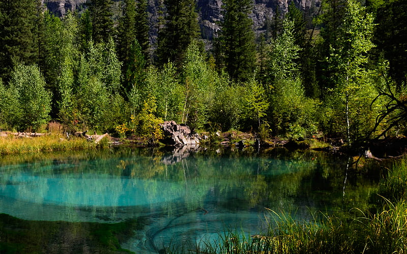 Geyser Lake, forest, blue lake, warm water, Altai, Altai Mountains, HD wallpaper