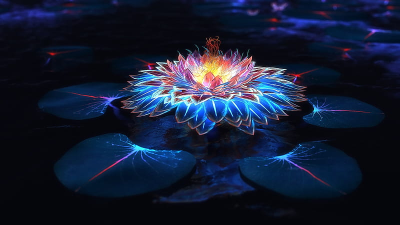 water lily, glowing, shiny, digital art, Flowers, HD wallpaper