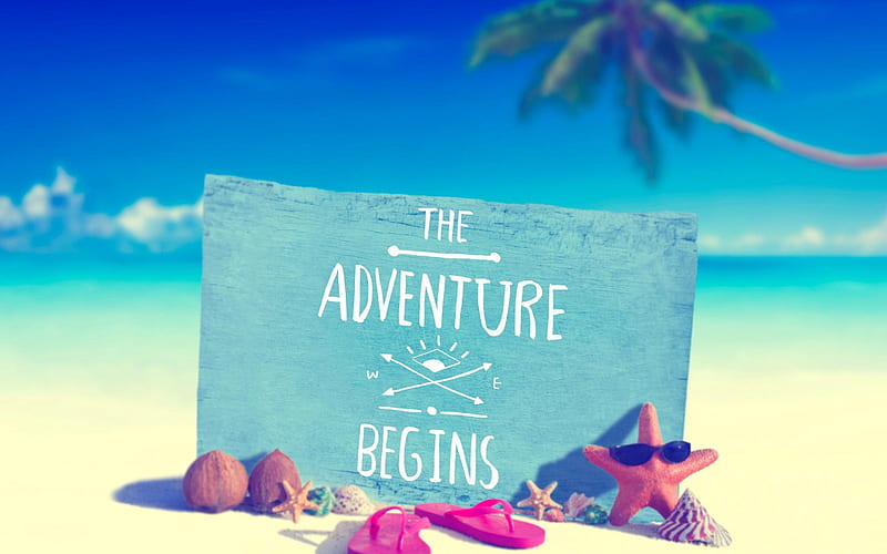 Adventure begins, summer travel, beach, sand, palms, seashells, summer concepts, HD wallpaper