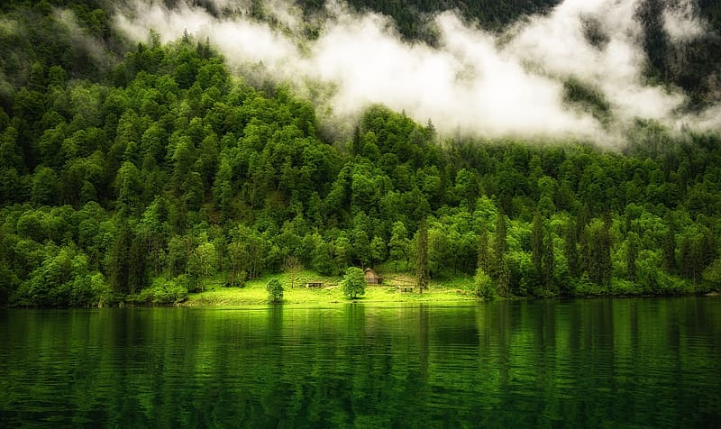 Forest lake, Mountains, House, Forest, Trees, Lake, HD wallpaper | Peakpx