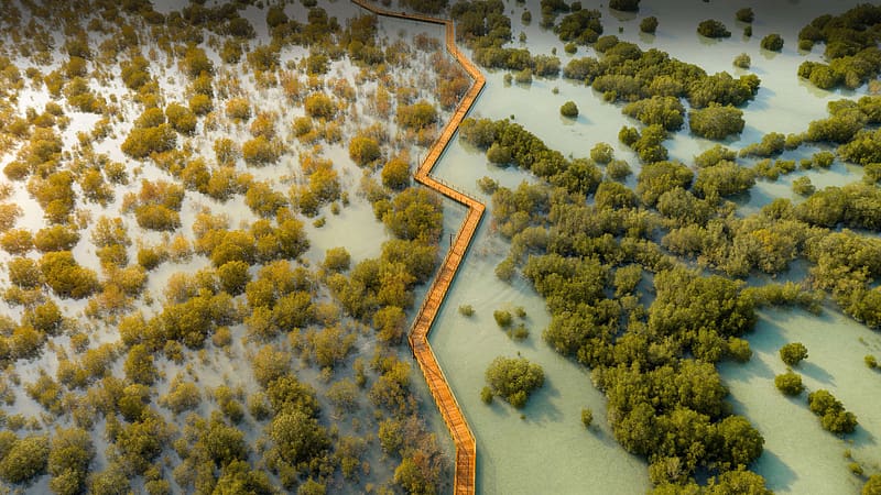 Jubail Mangrove Park Dubai, dubai, world, nature, drone-view, HD wallpaper