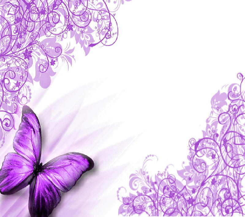 Butterfly, HD wallpaper | Peakpx