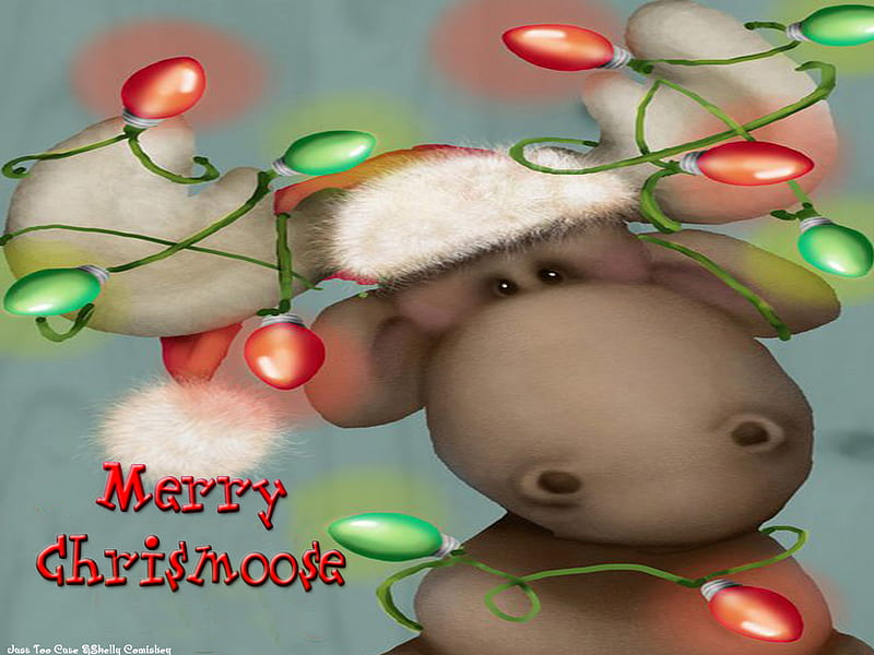 MERRY MOOSE, cute, moose, holiday, lights, HD wallpaper