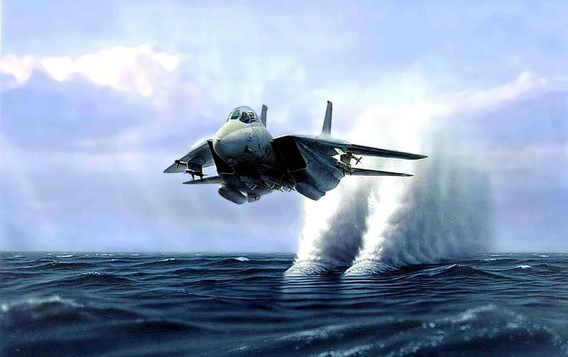 F-14 Tomcat Skimming the Water, Water, Military, Jet, F-14, HD wallpaper