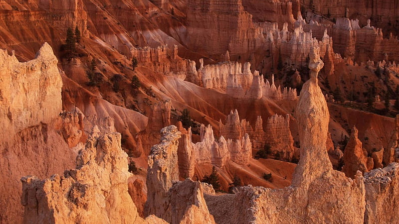 breathtaking bryce canyon utah, cliffs, monuments, canyon, sandstone, HD wallpaper