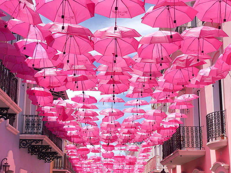 hanged pink umbrellas, HD wallpaper
