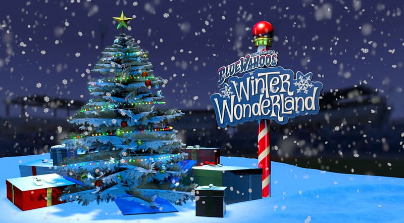 Winter wonderland, stars, christmas, holiday, decoration, wonderland, bonito, sky, winter, tree, snow, snowflakes, snowfall, HD wallpaper