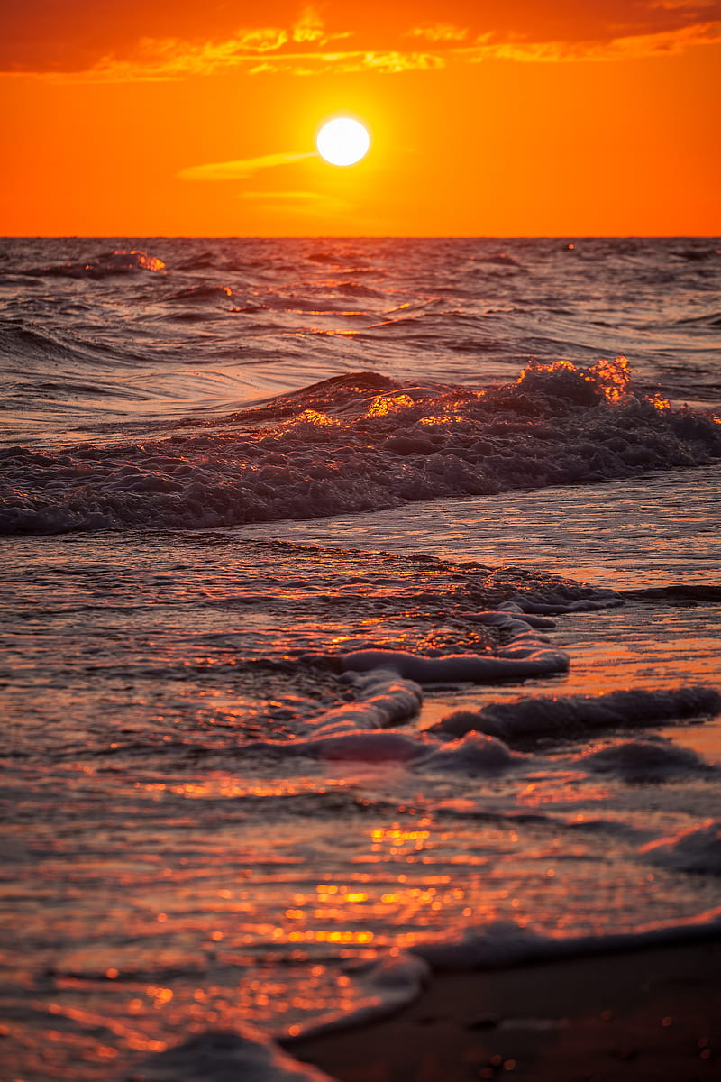 Baltic sunset, sky, nature, seashore, beach, sun, landscape, sea, summer, HD phone wallpaper