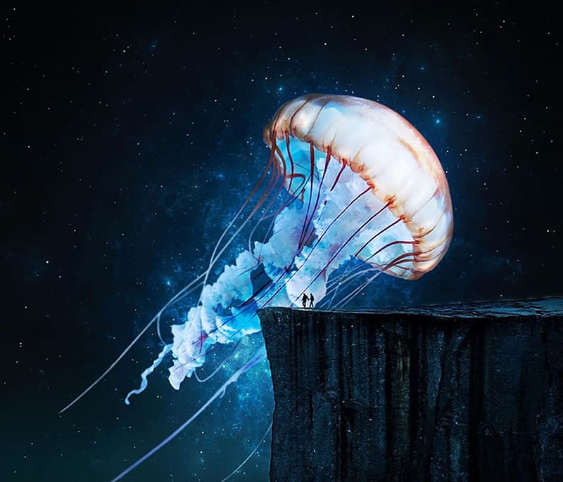 Giant jellyfish, blue, black, medusa, fantasy, jellyfish, huseyin sahin, water, giant, HD wallpaper