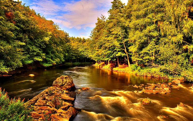 Golden river, rocks, river, sky, trees, HD wallpaper | Peakpx