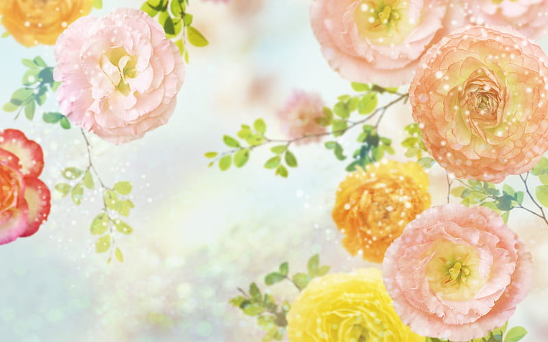 Carnations, orange, yellow, carnation, texture, garoafe, flower, claveles, pink, blue, HD wallpaper