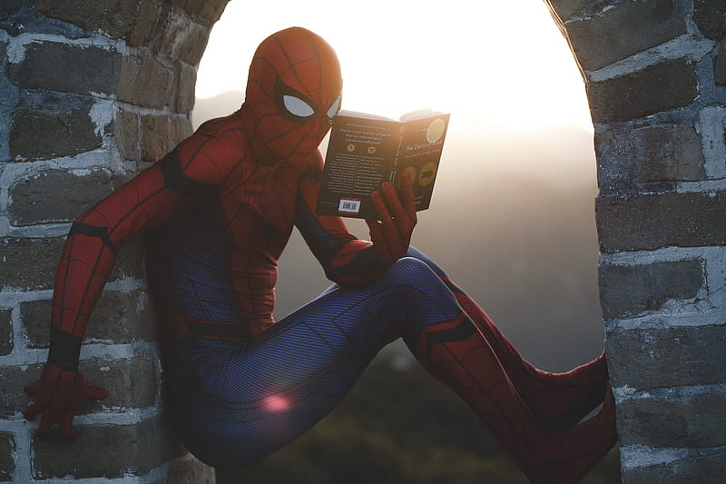 Spider-Man leaning on concrete brick while reading book, HD wallpaper